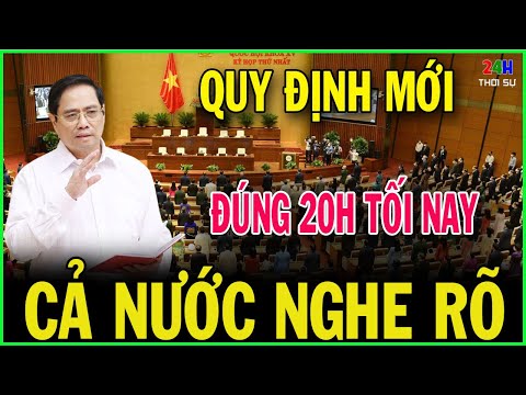 Tin nóng ĐẶC BIỆT mới nhất 12/12/2024/Tin nóng Việt Nam Mới Nhất Hôm Nay /#TS24H