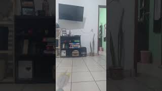 me encontré un extraño en mi puerta 🚪:|