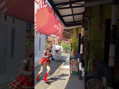 Rikaa kaburrr di kejar can macanan masuk rumah buat ambil pedang