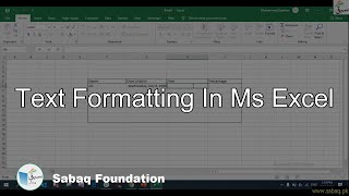Text formatting in MS Excel