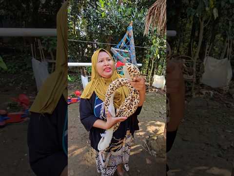 ko jadi nya ular😱😱😱