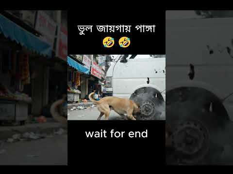 ভুল জাগায় পাংঙ্গা  #funny