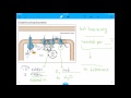 Cellular Respiration Concepts and Processes