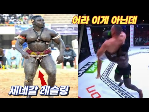 인간이야 고릴라야? 유도 기술을 힘으로 뽑아버린 세네갈 레슬링, 세네갈 레슬링 vs 유도 MMA 대결 [한결TV]