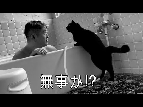 長風呂の飼い主を心配して風呂まで押しかける猫　Cat worried about its owner’s long bath