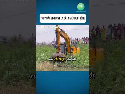 truy bắt sinh vật lạ dài 4 mét dưới sông #shorts #khampha #khamphahuyenbi #khamphathegioi