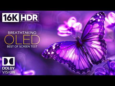 REAL OLED | 16K HDR 120 FPS Dolby Vision Demo (4K / 8K TV)