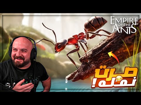 استكشاف عالم النمل الواسع ! 🤯 تجربة لعبة EMPIRE OF THE ANTS ! 🔥😍