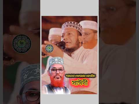 আল্লামা দেলোয়ার হোসাইন সাঈদী রাহিমাহুল্লাহ কে নিয়ে বললেন হুজুর #mufti_amir_hamza #waz #foryou