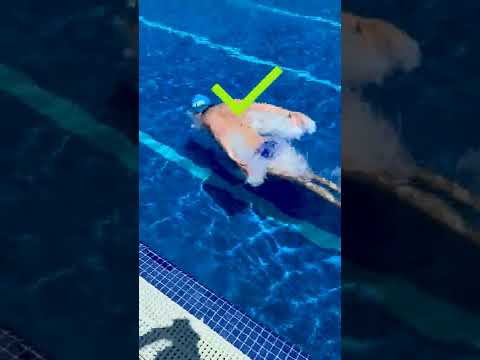 Spot the Difference in His Butterfly Technique!