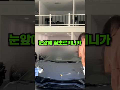 람보르기니를 갖고 싶었던 누나