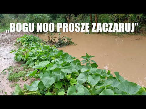 Bogu, noo proszę  zaczaruj - odpowiedzi na komentarze - Kucyk