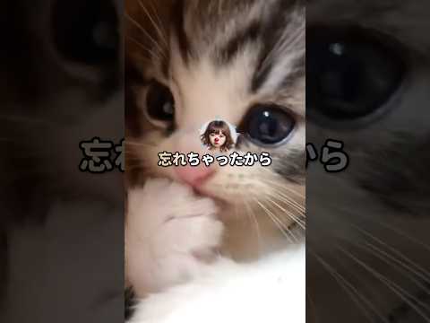 【スカッと】「1番前の席がいいです!」といった前田さんは…w