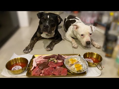 O&n The Pit Bulls eat🐂🥩RAW WAGYU BEEF combo[ASMR]MUKBANG #อาหารสุนัขที่ดีที่สุด EP.095 of 2024