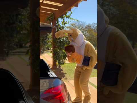 Apareceu um homem disfarçado de coelho malvadão 😱