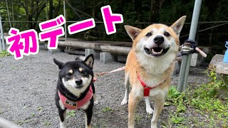 ジョン君がついにあの娘とデートするだと・・！？