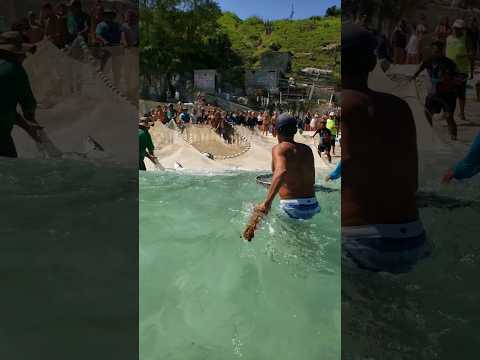 Pesca Com Tartaruga Marinha Livre Na PRAIA GRANDE EM ARRAIAL DO CABO RJ BRASIL 🇧🇷 #shorts