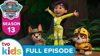 Air Rescue: Pups Save the Mother Tree 🌳 | 🐶 PAW PATROL ⛑️ | Season 13 | Full Episodes 📺 | TVOkids