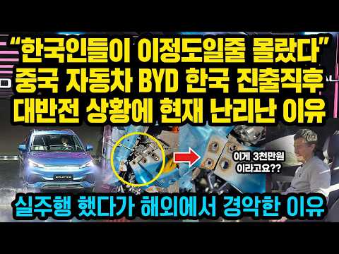 중국자동차 BYD 자신만만하게 한국 진출했다가 한국인들 대반전 행동에 현재 난리난 이유..해외에서 실주행했다가 경악한 이유