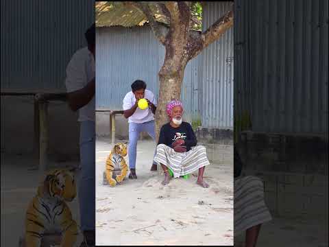 Grandpa vs Wild Tiger โ THE SCARIEST PRANK YET!