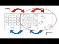 Phase Changes and Energy Concepts