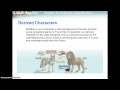 Cladistics and Phylogenetic Analysis