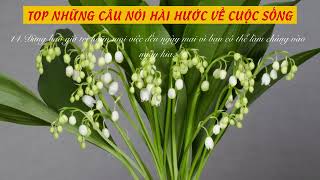 Nghe nhạc này giúp bạn thông minh hơn - Nhạc nhẹ nhàng, thư giãn, truyền cảm hứng cho ngày mới P4