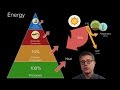 Ecosystem Energy and Productivity Concepts
