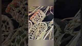 #Looping - #Verflechtungen #naturmaterialien #fasern #rohrkolben