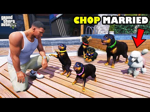 Franklin Found Chop's Secret Marriage And Puppies In GTA 5 | SHINCHAN and CHOP