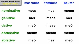 Possessive Adjectives and Pronouns in Latin