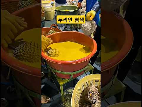 두리안를 맛있게 보이게 하는 염색 방법 #두리안 #염색