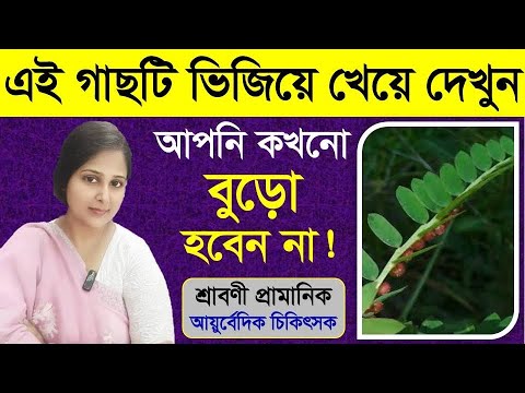 ময়লা আবর্জনা দুষিত পদার্থ শরীর নিগরে বের করবে এই গাছ | Gale of the wind benefits