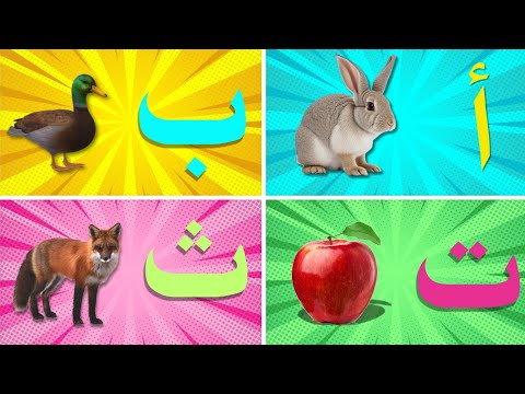 "Arabic Alphabet for Kids ,| ألف " ارنب" تعلم الحروف الأبجدية العربية للأطفال Alif Arnab@kidsnnshow