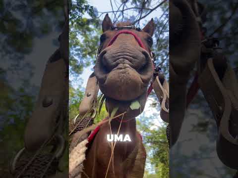 VEJA O QUE ACONTECE! 😰 *você precisa saber disso*