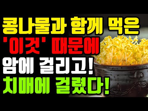 콩나물과 절대로 함께 먹지마세요! 암과 치매에 걸릴 수 있습니다!- 콩나물 최악의 궁합 3가지와 만성 염증 독소 싹 빼주는 최고의 레시피 3가지[콩나물 효능, 면역력, 건강 정보]