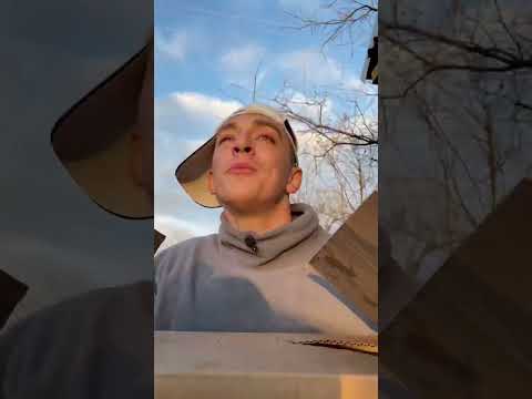 Правда что тарелки бить на счастье? #shorts