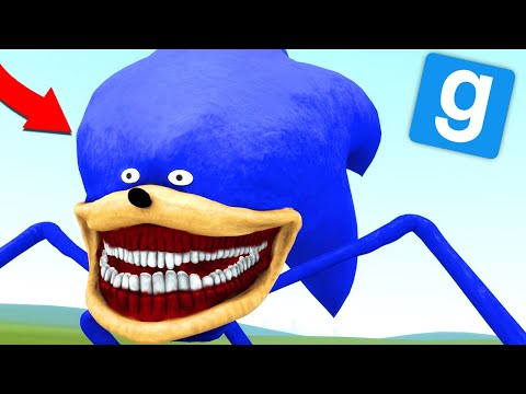 SONIC TAPES sur GARRY'S MOD !! 😱 (flippant)