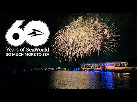 So much more to Sea Fireworks - SeaWorld San Antonio