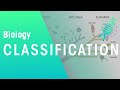 Exploring Biological Classification and Relationships