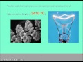 Properties and Applications of Metals