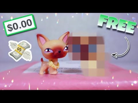 I GOT A FREE LPS IN THE MAIL