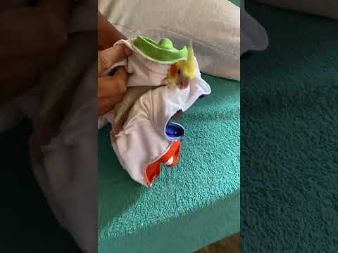 23 de setembro de 2025