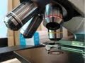 Exploring the Compound Light Microscope: Key Parts and Usage
