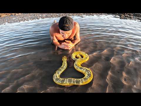 Exploring For Sea Animals In Tide Pools