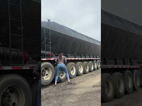 Another day of musical trailers #flowboy #8axlemafia #asphalt #freightliner #classic #catc15 #cat