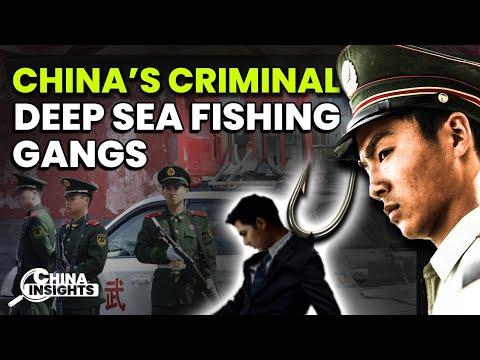 China's "Deep-Sea Fishing" Gangs CROSS BORDERS to Steal Millions $$$. It's OUT OF CONTROL