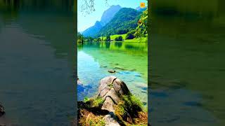 Lake Hintersee, Germany 🇩🇪 |#shorts