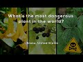 Dangerous Plants and Their Misconceptions