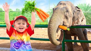 Keluarga Diana dan Roma di Kebun Binatang Emirates Park, Abu Dhabi